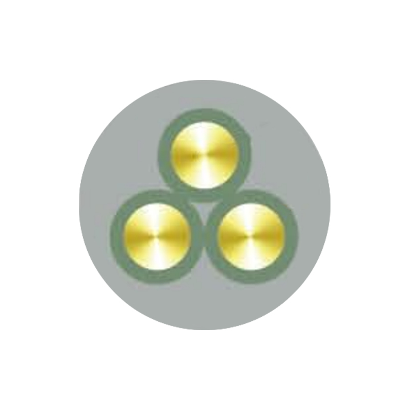 Kabel Berinsulasi Karet Tangguh Dengan Tegangan Terukur Hingga Dan Termasuk 450/750V