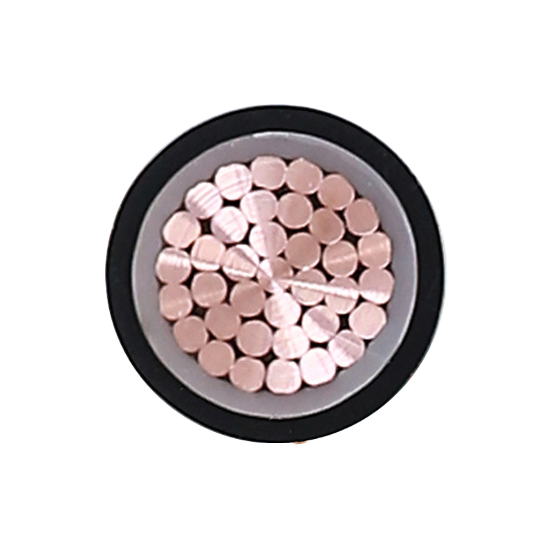 Kabel Pengisian EV Untuk Tegangan Terukur 450/750V