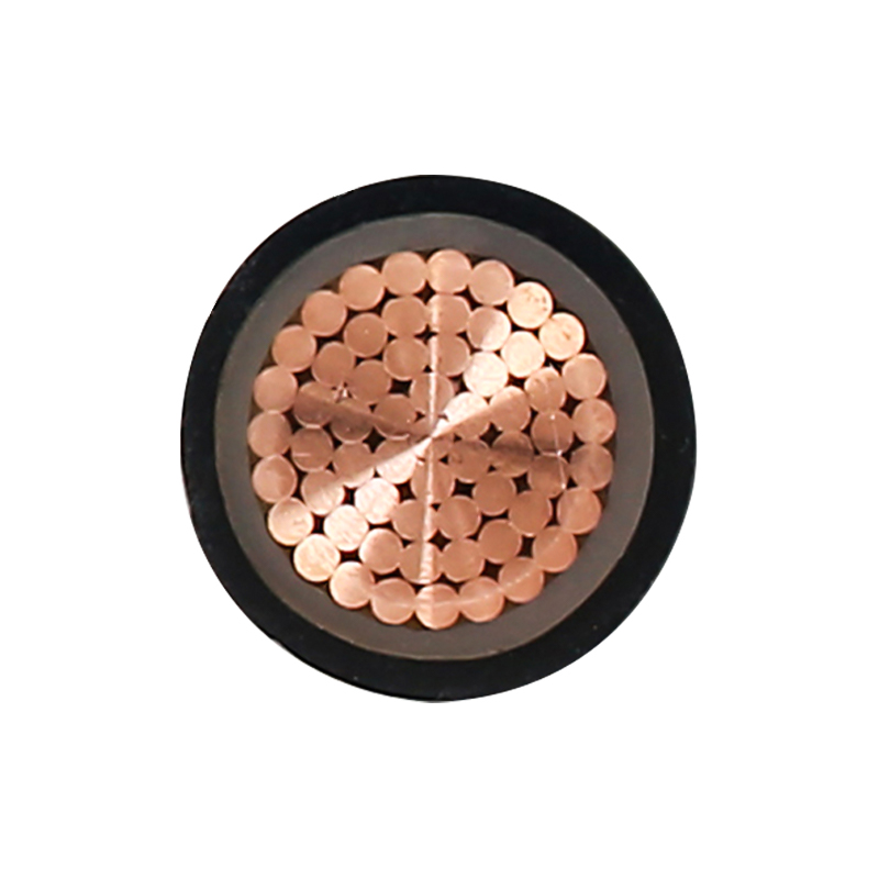 Kabel Pengisian EV Untuk Tegangan Terukur 450/750V