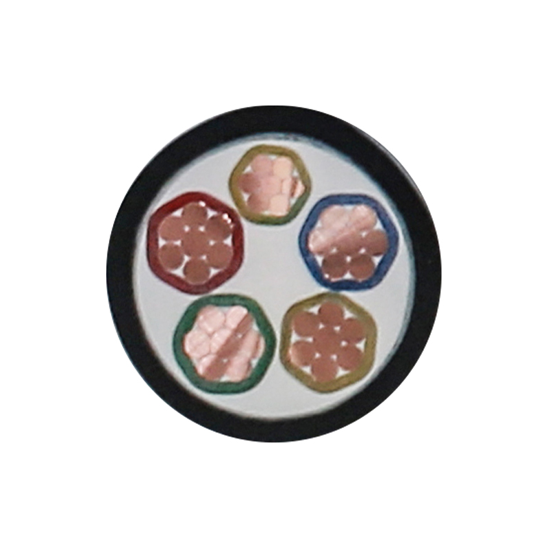 Kabel Pengisian EV Untuk Tegangan Terukur 450/750V