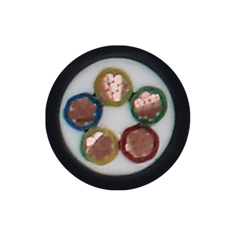 Kabel Pengisian EV Untuk Tegangan Terukur 450/750V