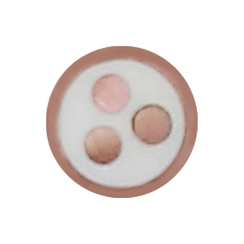 Kabel Pengisian EV Untuk Tegangan Terukur 450/750V