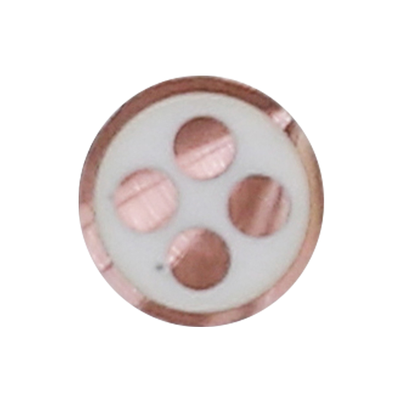 Kabel Pengisian EV Untuk Tegangan Terukur 450/750V