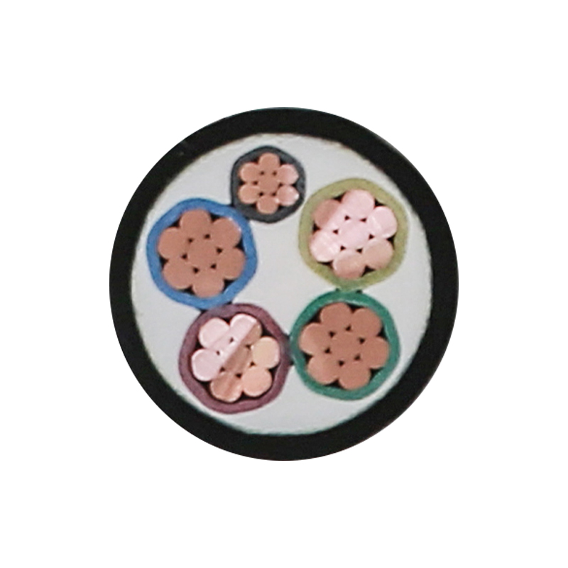 Kabel Pengisian EV Untuk Tegangan Terukur 450/750V