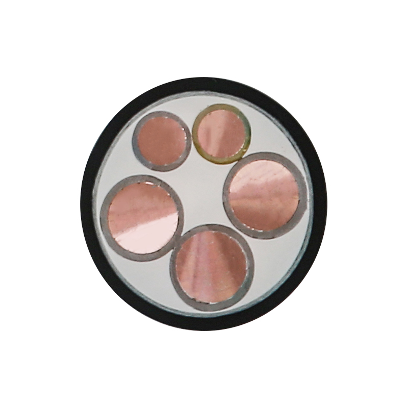 Kabel Pengisian EV Untuk Tegangan Terukur 450/750V