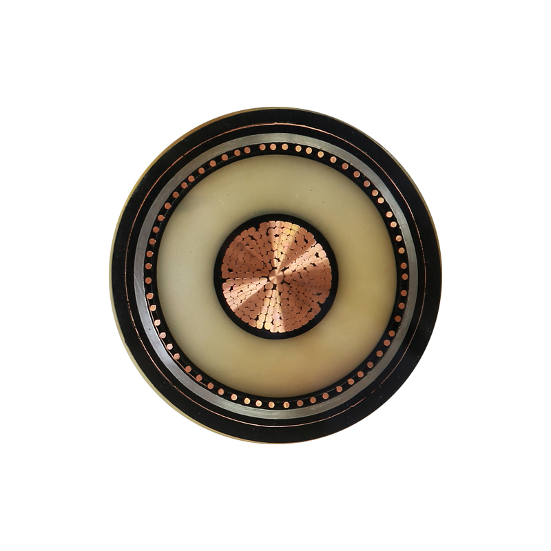 Kabel Pengisian EV Untuk Tegangan Terukur 450/750V