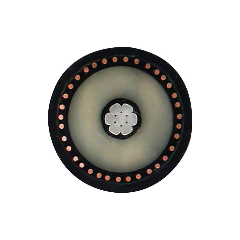 Kabel Pengisian EV Untuk Tegangan Terukur 450/750V