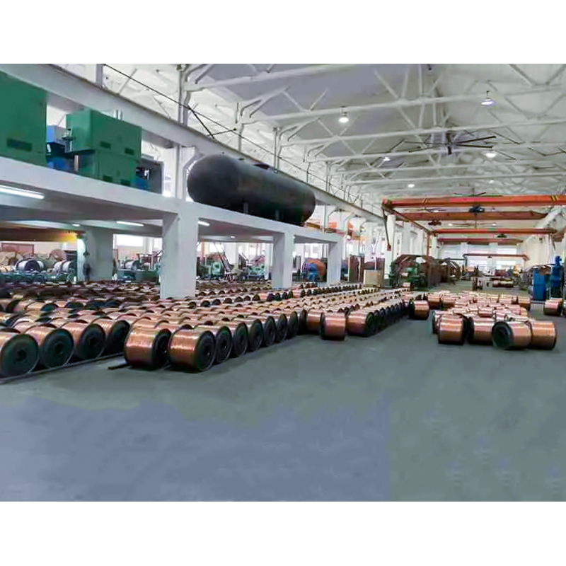 Kabel Berisolasi XLPE/PVC (kawat) Nilai Tegangan Hingga dan Termasuk 450/750V